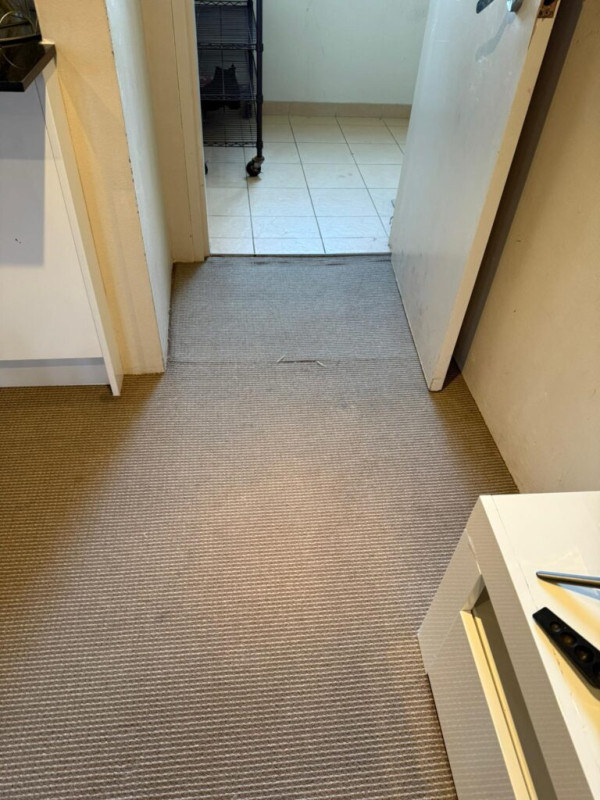 Image-1