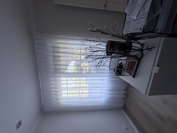 Image-11