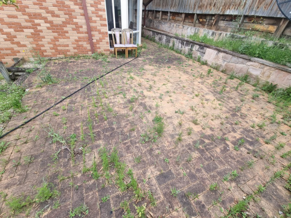 Image-3