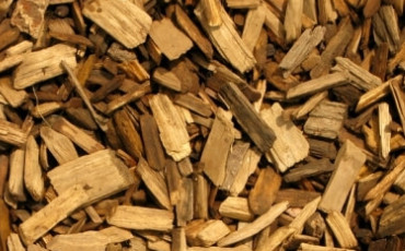 Image-4