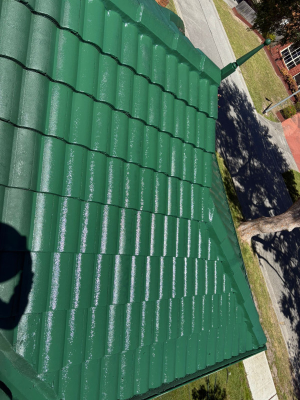 Image-1