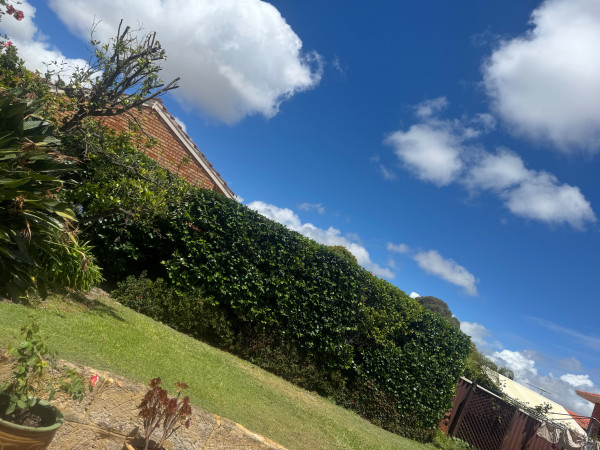 Image-5
