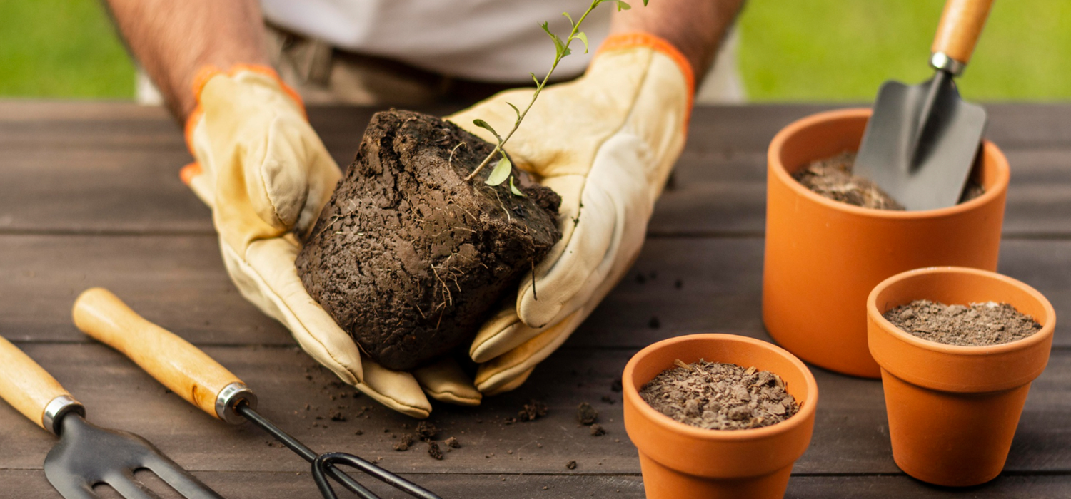 Gardening Hacks for Beginners