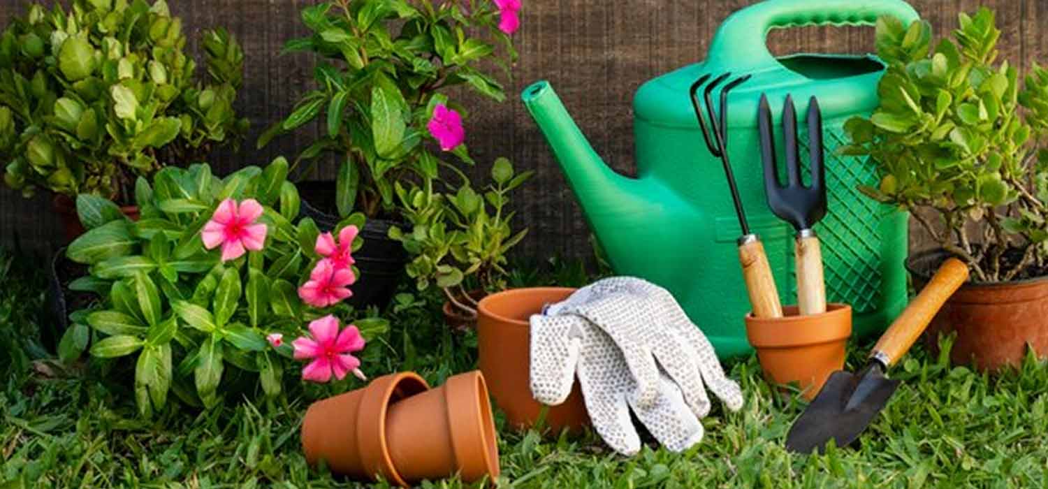 Garden Cleaning