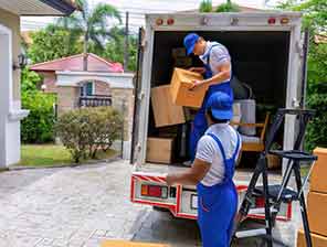 Removalists