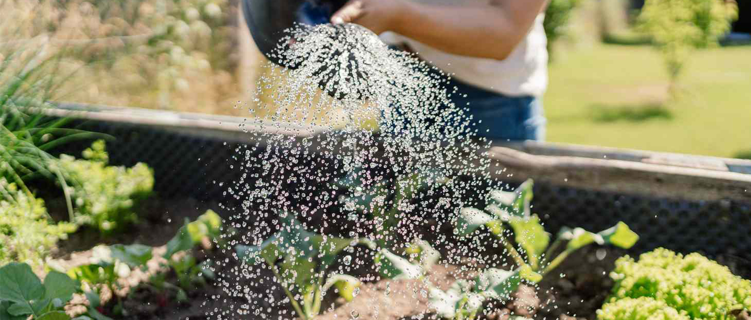 Gardening Tools and Equipment: Must-Haves for Every Gardener