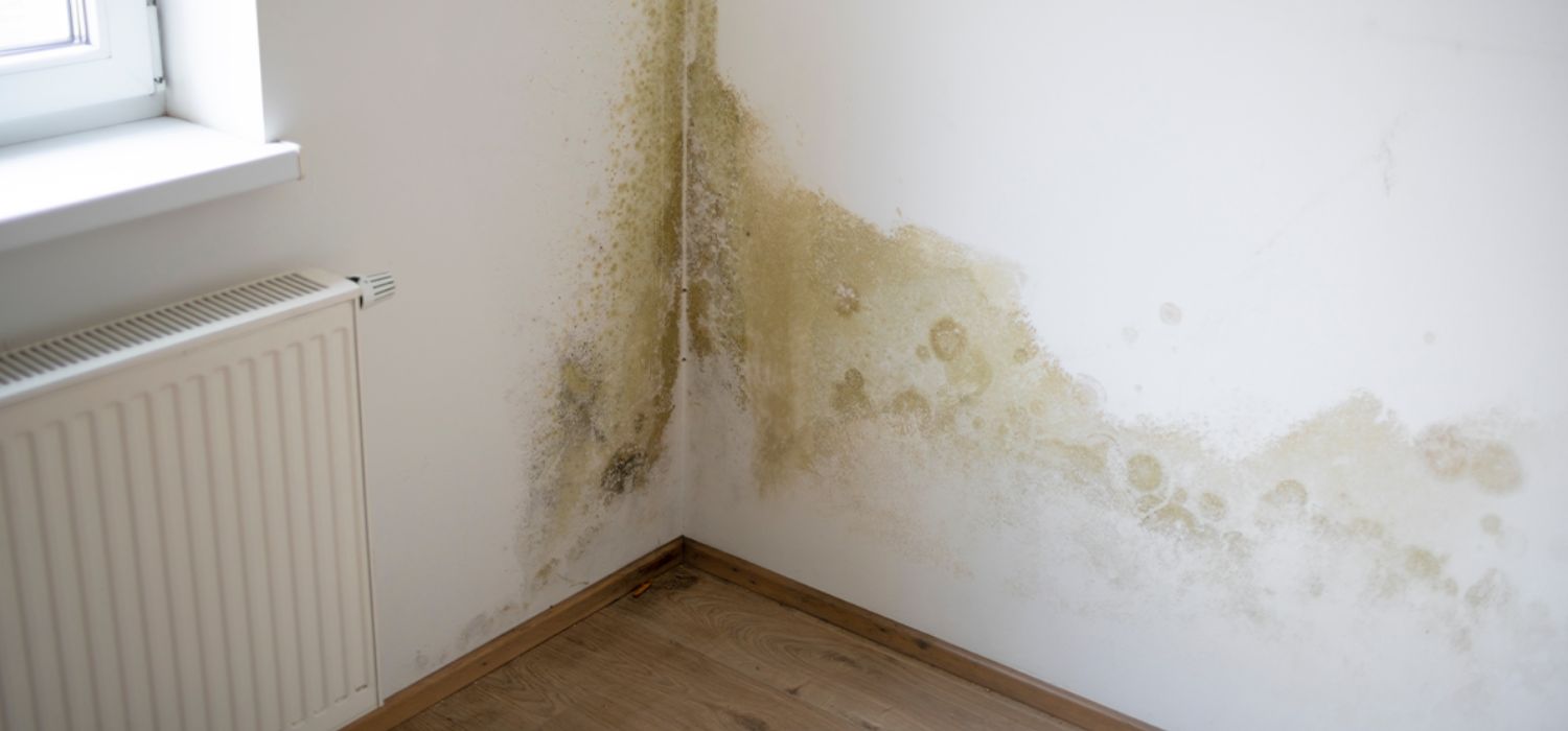 2024/07/rising-damp-waterproofing-1720006959.jpg