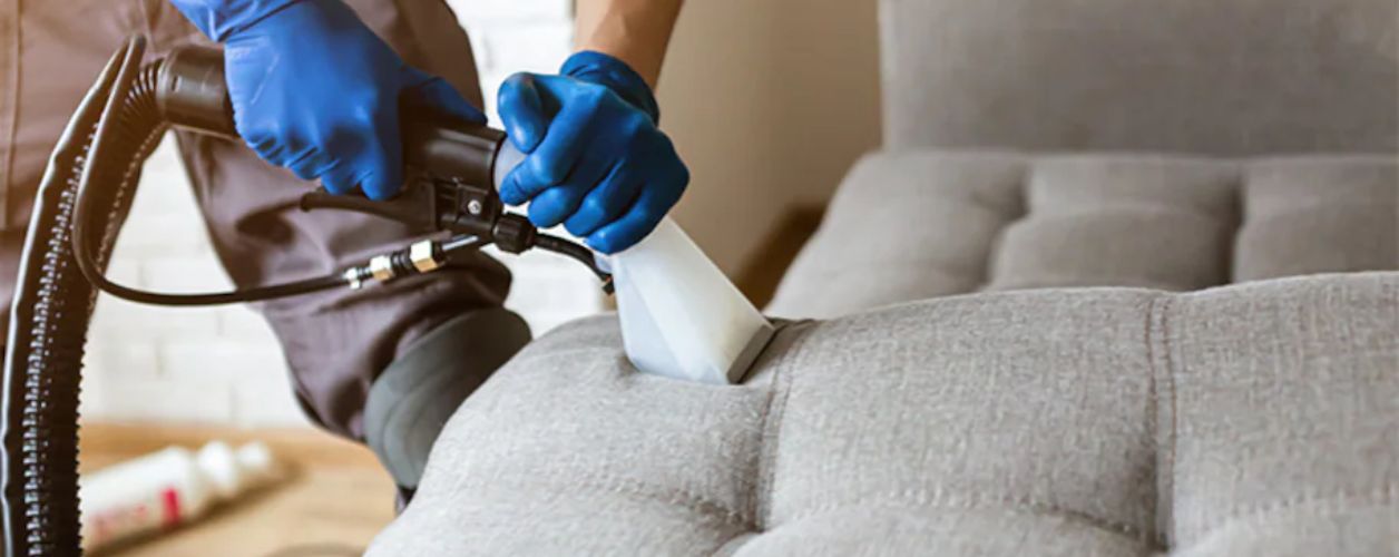 How Much Does Upholstery Cleaning Cost?