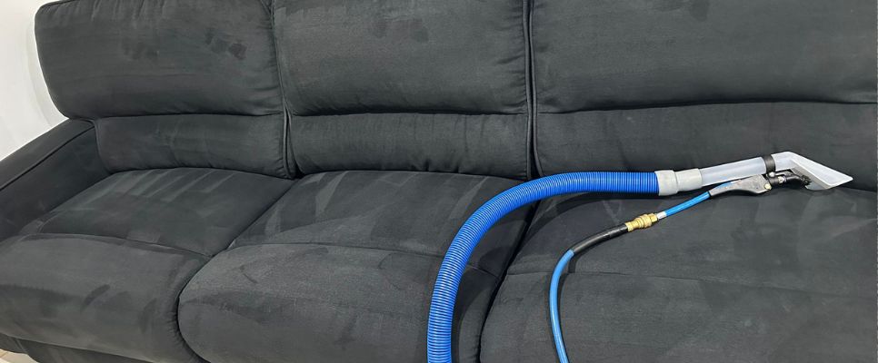 Pet-Friendly Couch Cleaning Tips for Australian Homes