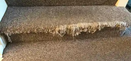 How to Fix Your Damaged Carpet?