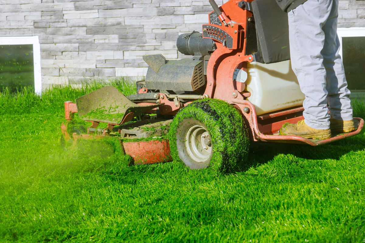 How Much Does Turf Cost? Find the Best Deals for Your Lawn