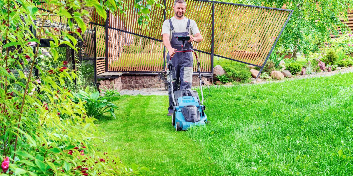 How to Get Rid of Clover in Your Lawn: A Step-by-Step Guide