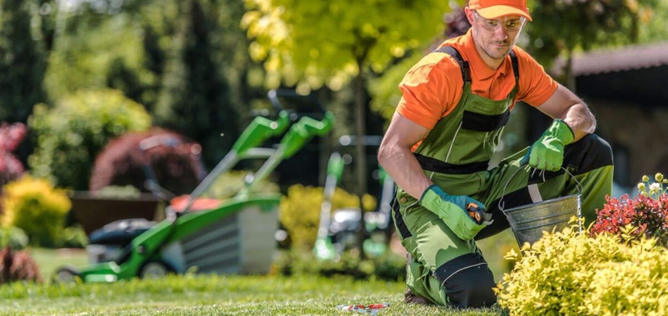 Choosing the Right Landscaper Checklist