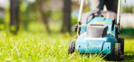 How to Get Rid of Nut Grass? - Effective Methods for a Clean Lawn