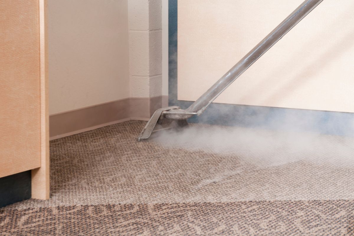 Dry Cleaning Vs Steam Cleaning Carpets