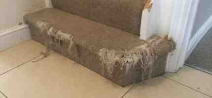 Carpet Repair vs Carpet Replacement: Which is Right for You?