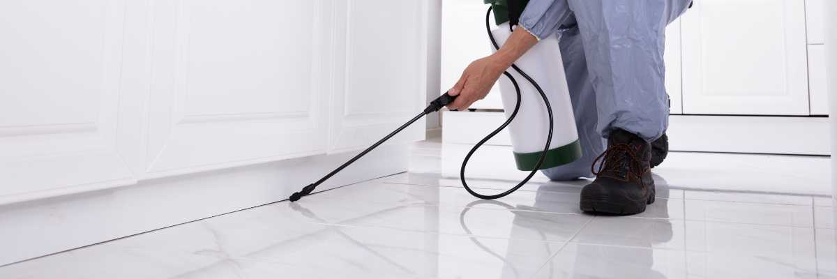 Is Pest Control Safe For The Home Environment?