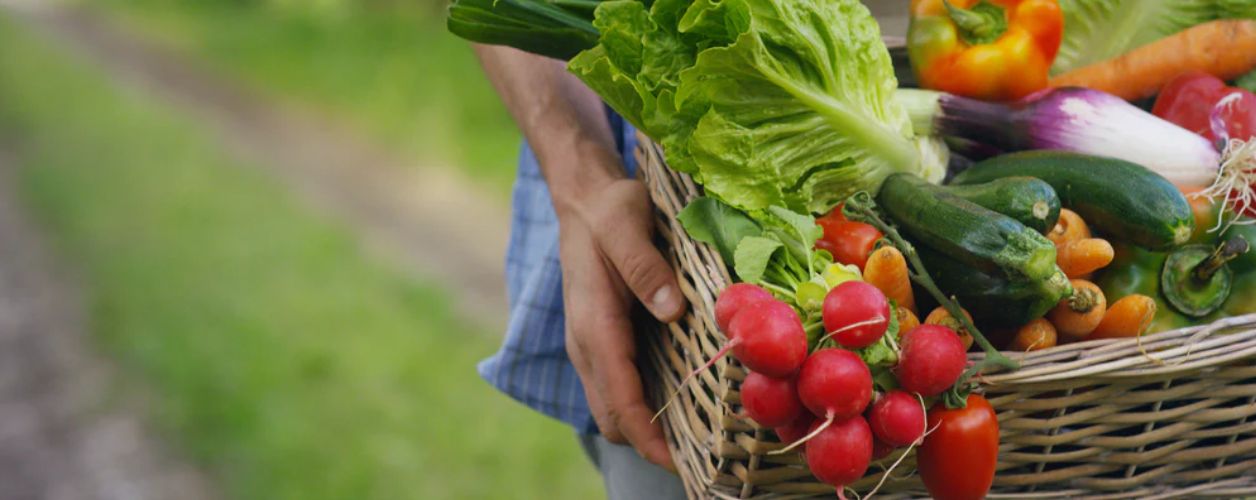 The easiest fruits and vegetables to grow by season
