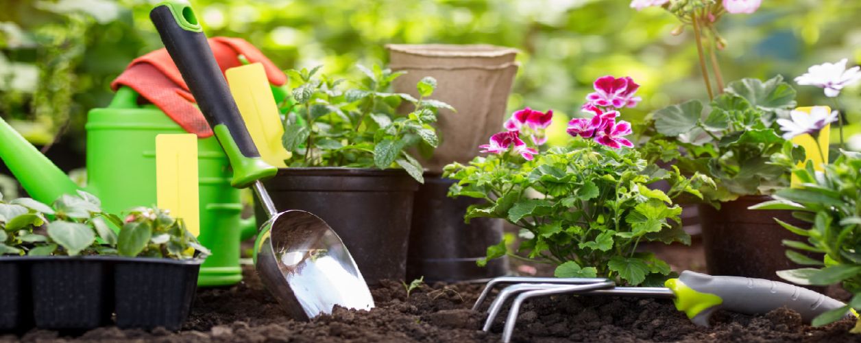 Spring Gardening Ideas: Fresh & Easy Tips for a Blooming Garden