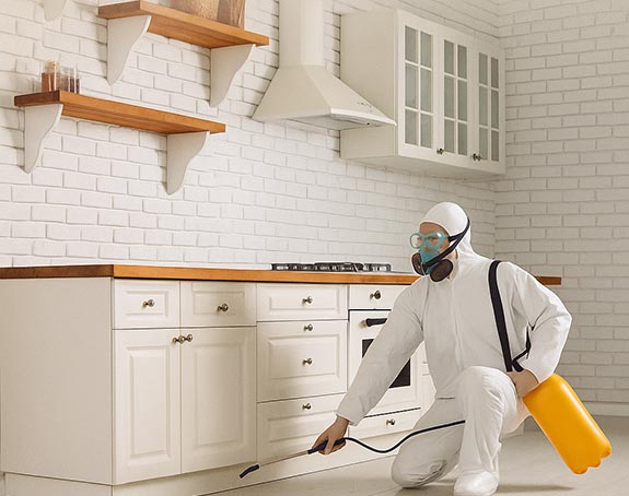 Pest Control Services
