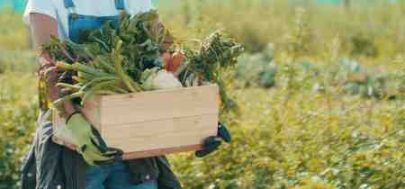 Top Autumn Vegetables to Grow for a Bountiful Harvest