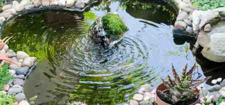 How much does it cost to build your own garden pond