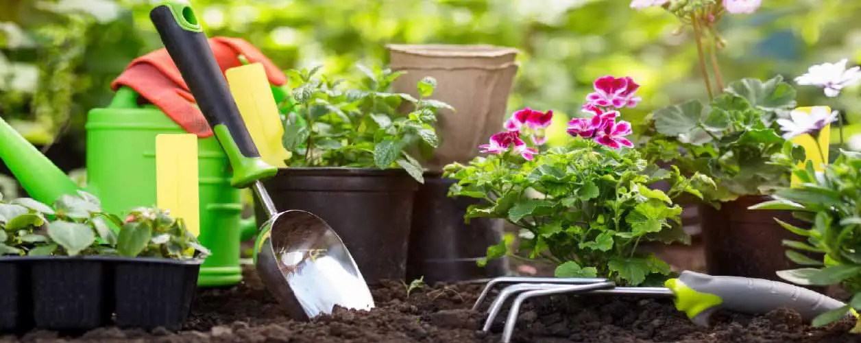 Spring Gardening Ideas: Fresh & Easy Tips for a Blooming Garden
