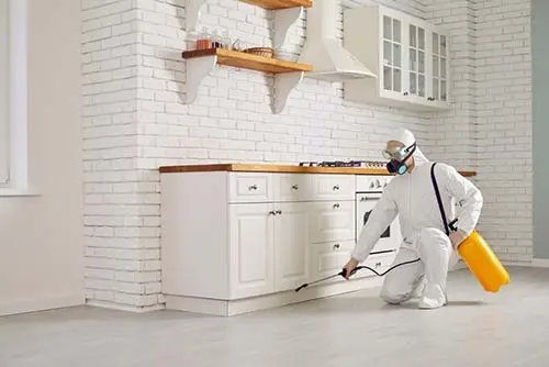 Pest Control Services