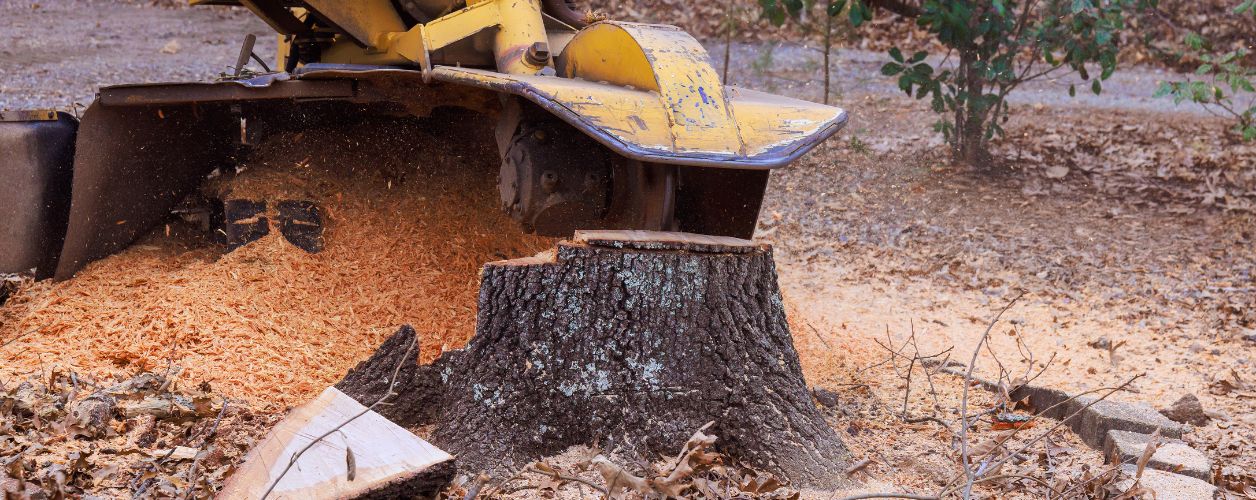 How Much Does Stump Grinding Cost?